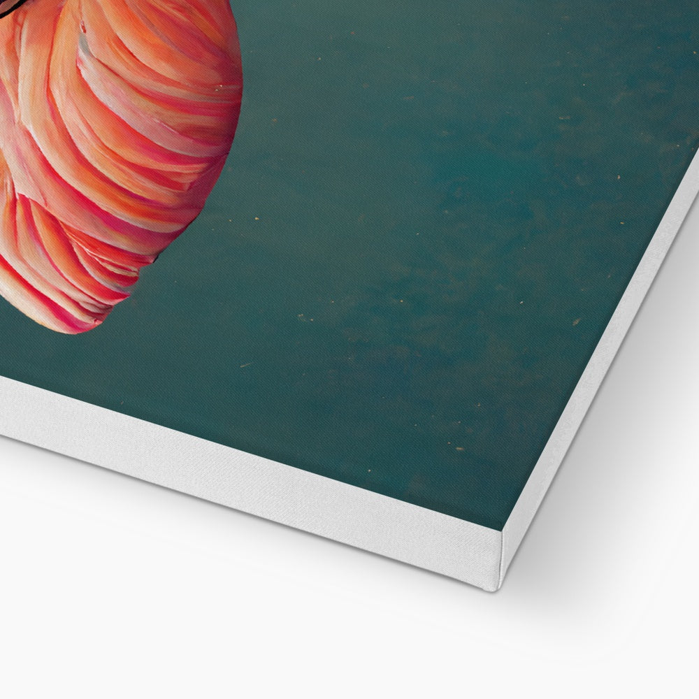 Baby Bird Flamingo Canvas