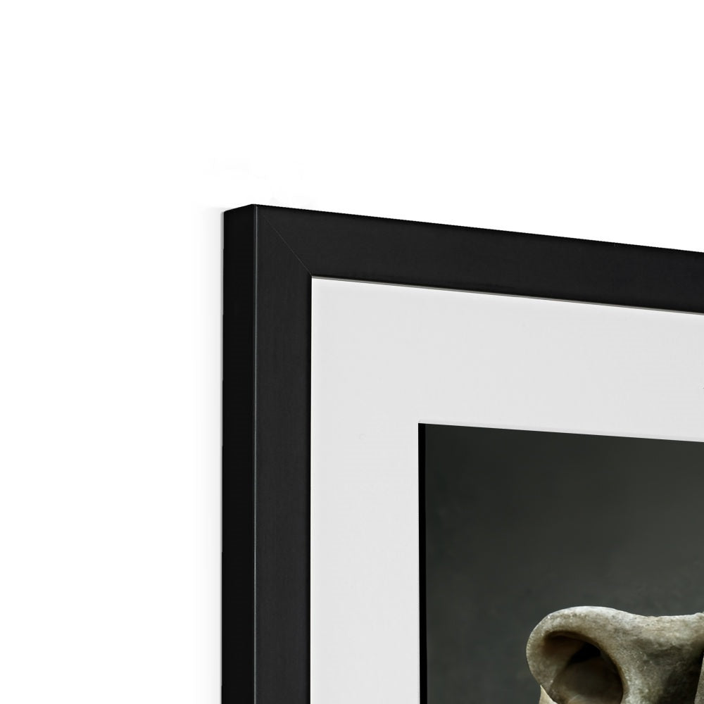 Stone Faced Framed & Mounted Print
