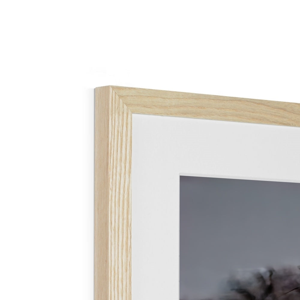 Flamingo Ice Framed & Mounted Print