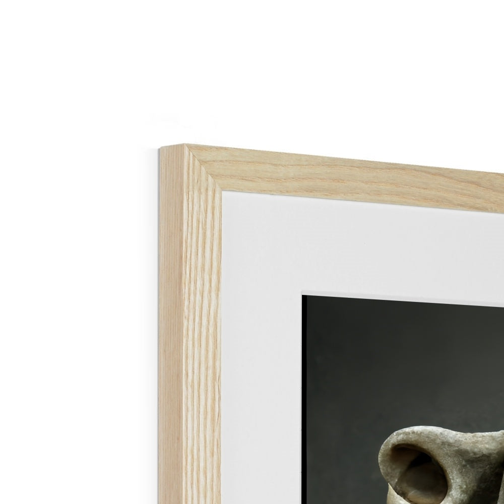 Stone Faced Framed & Mounted Print