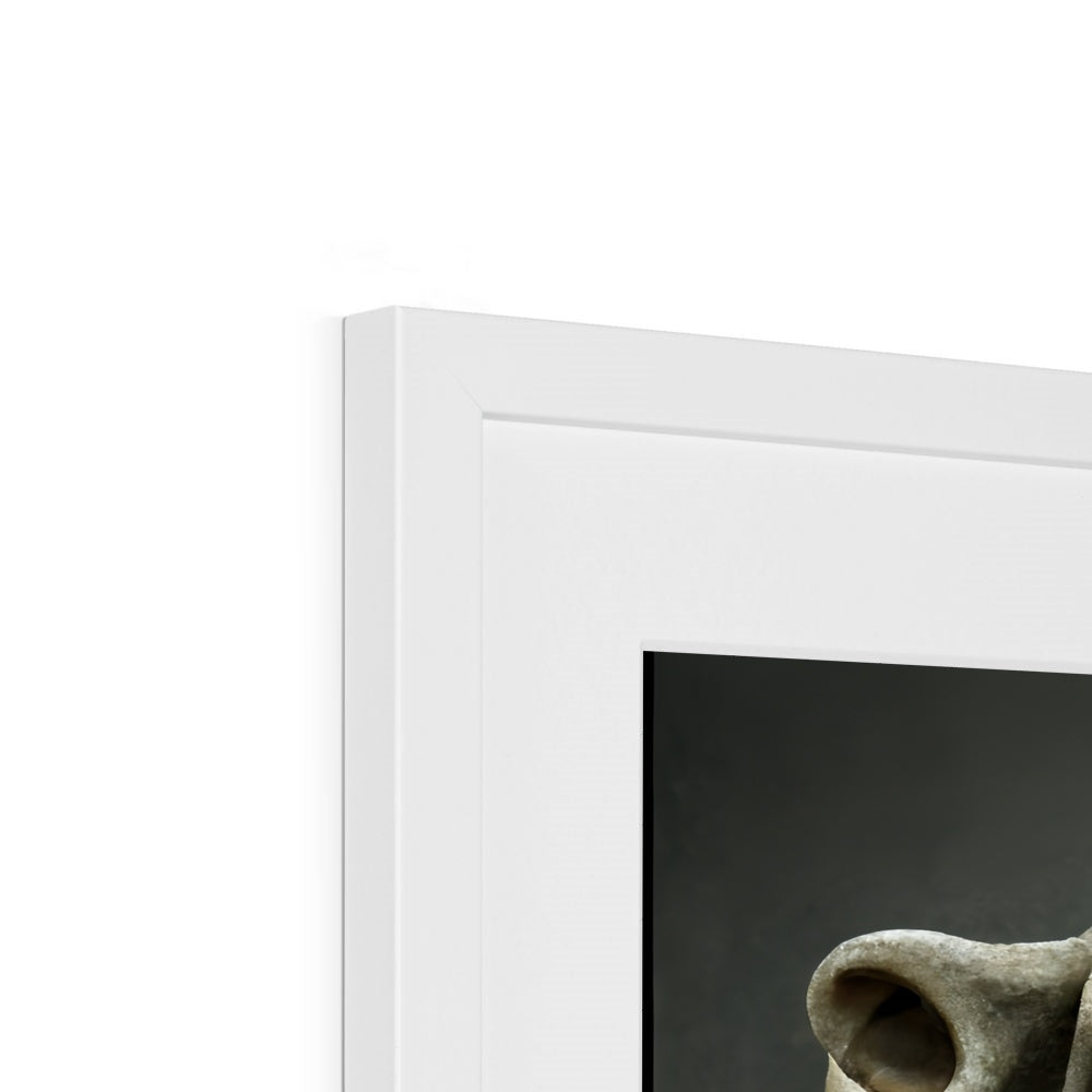 Stone Faced Framed & Mounted Print