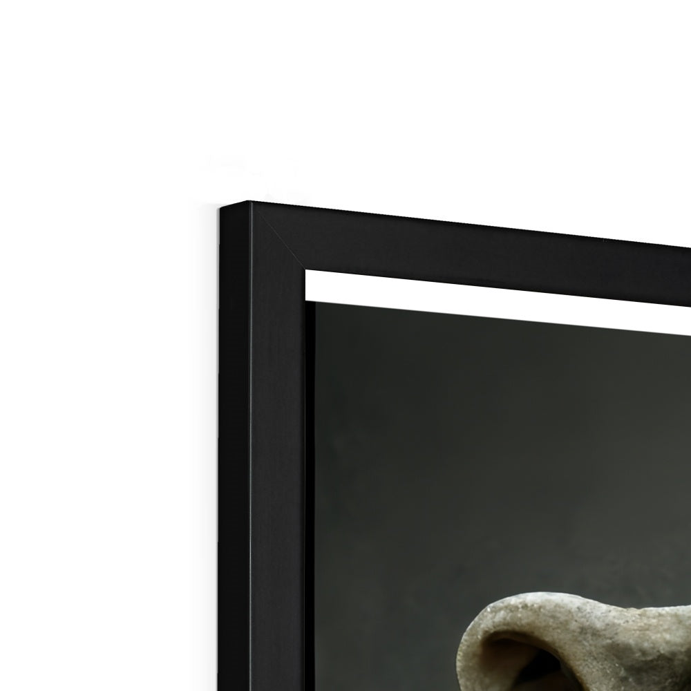 Stone Faced Framed Print