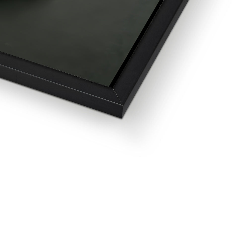 Stone Faced Framed Print