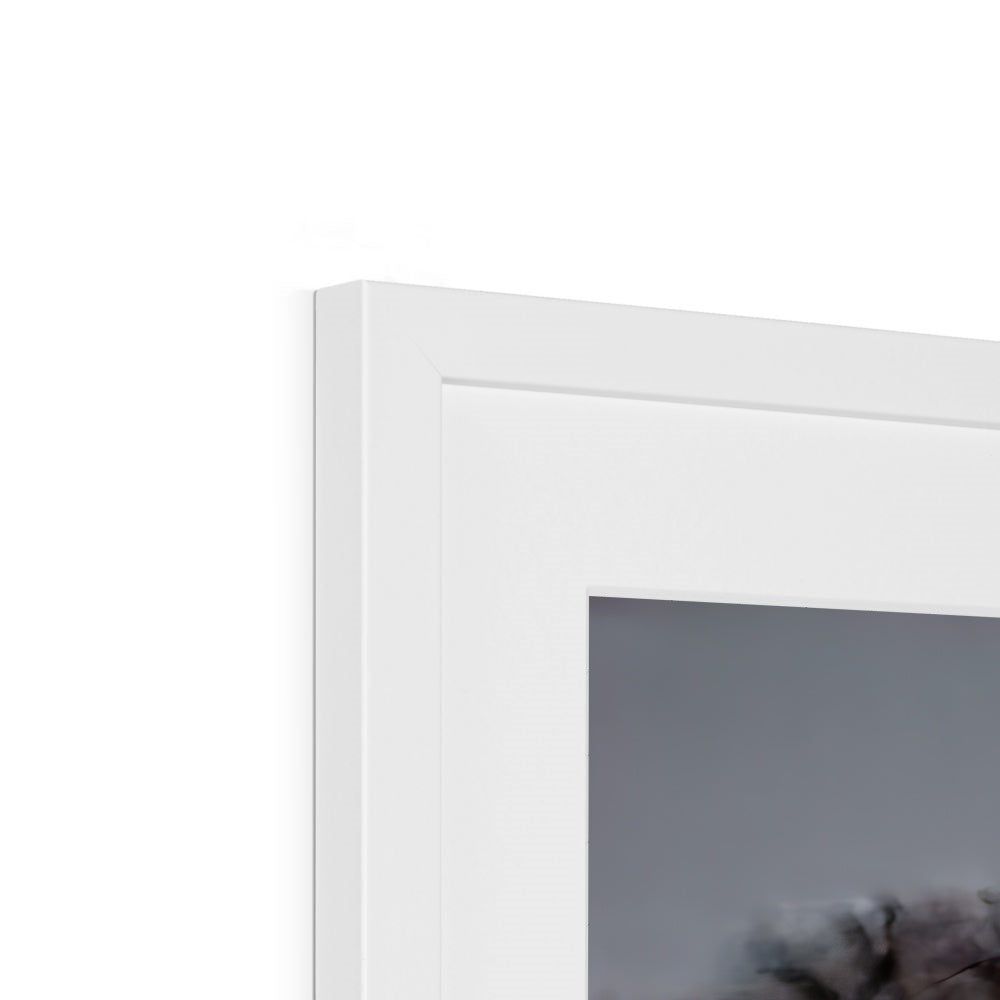 Flamingo Ice Framed & Mounted Print