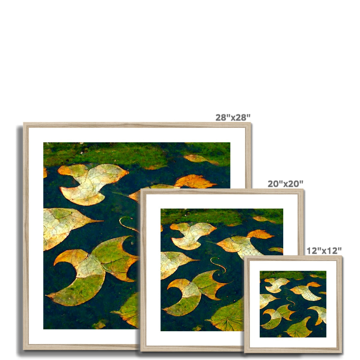 Pond Dreams Framed & Mounted Print