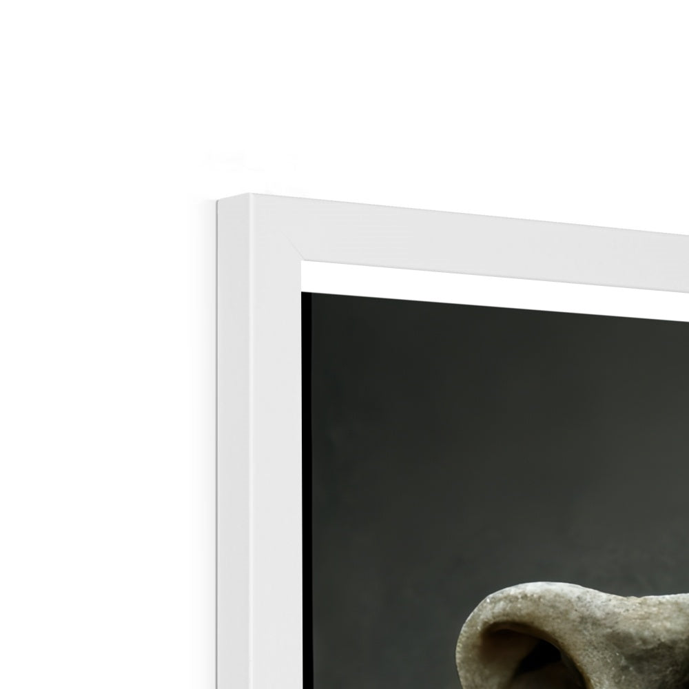 Stone Faced Framed Print