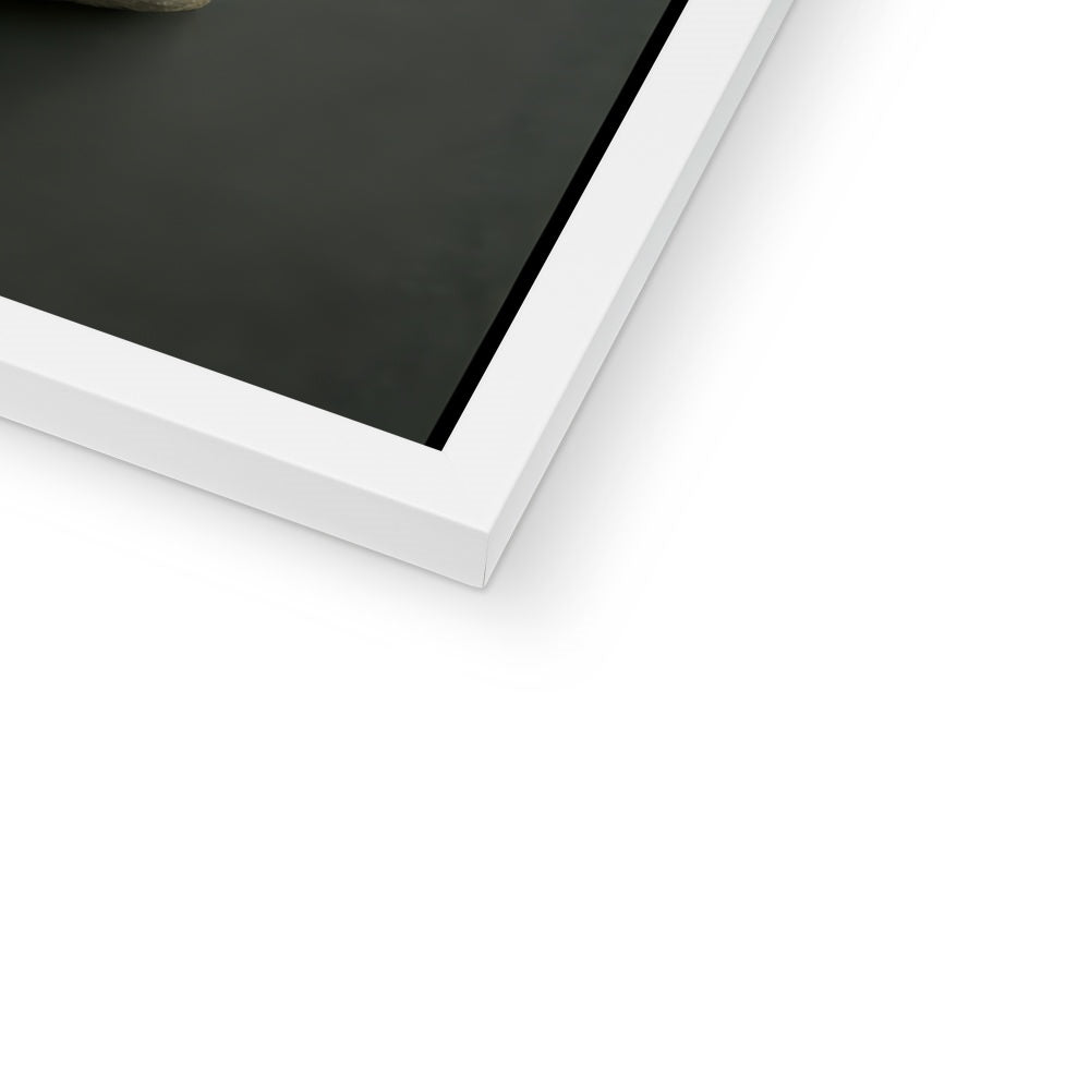 Stone Faced Framed Print