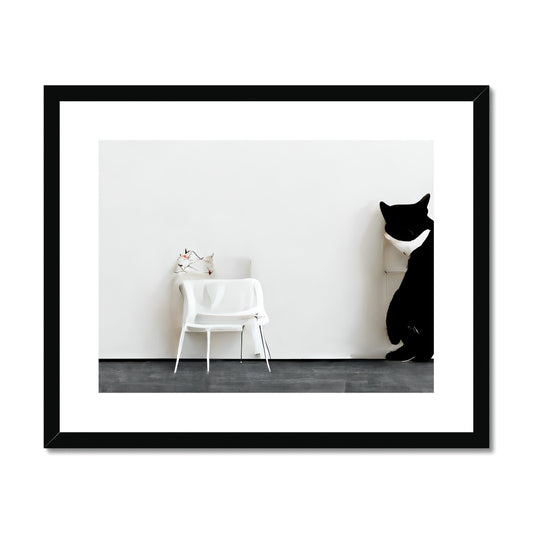 Cool Cat Framed & Mounted Print