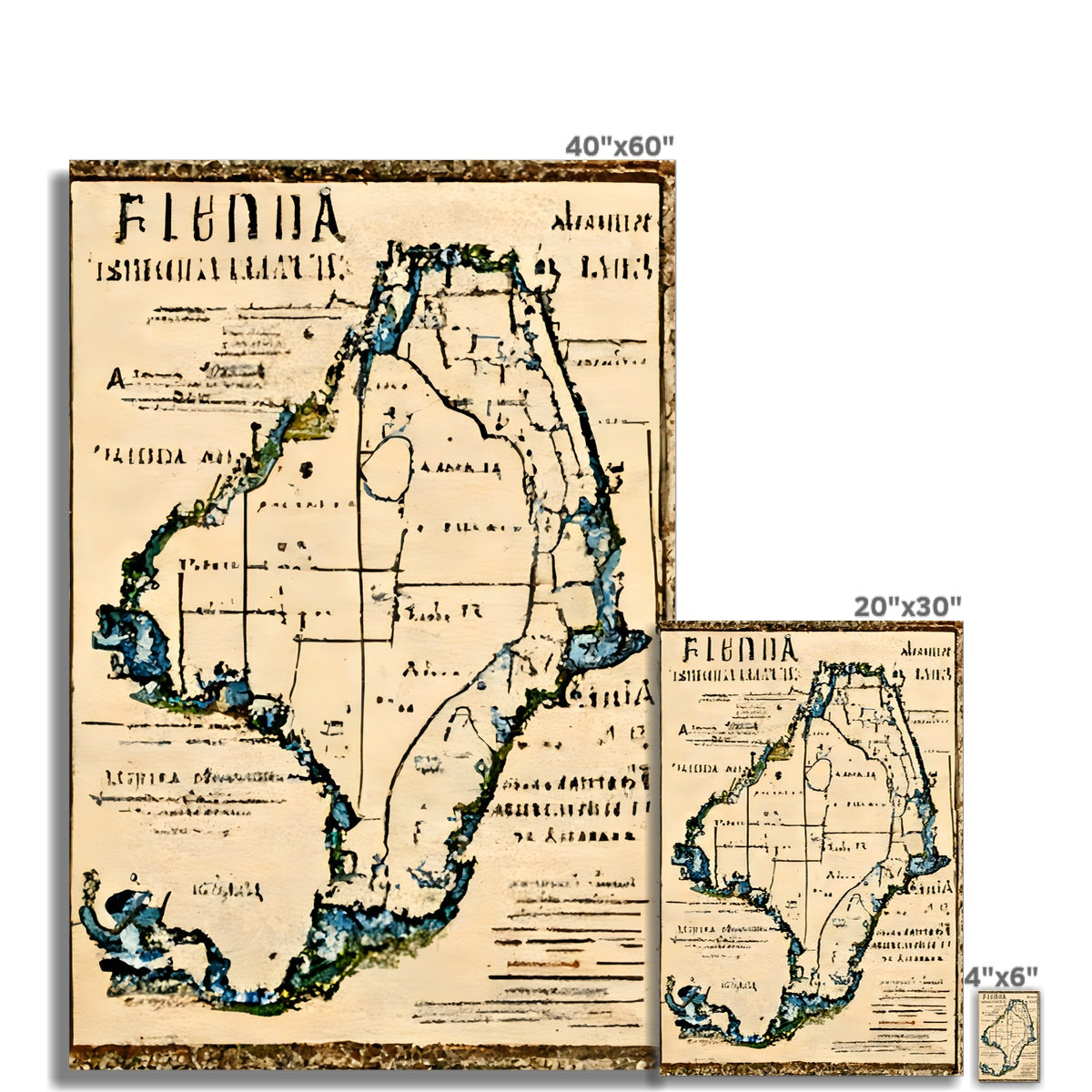 Florida Antiqua Fine Art Print