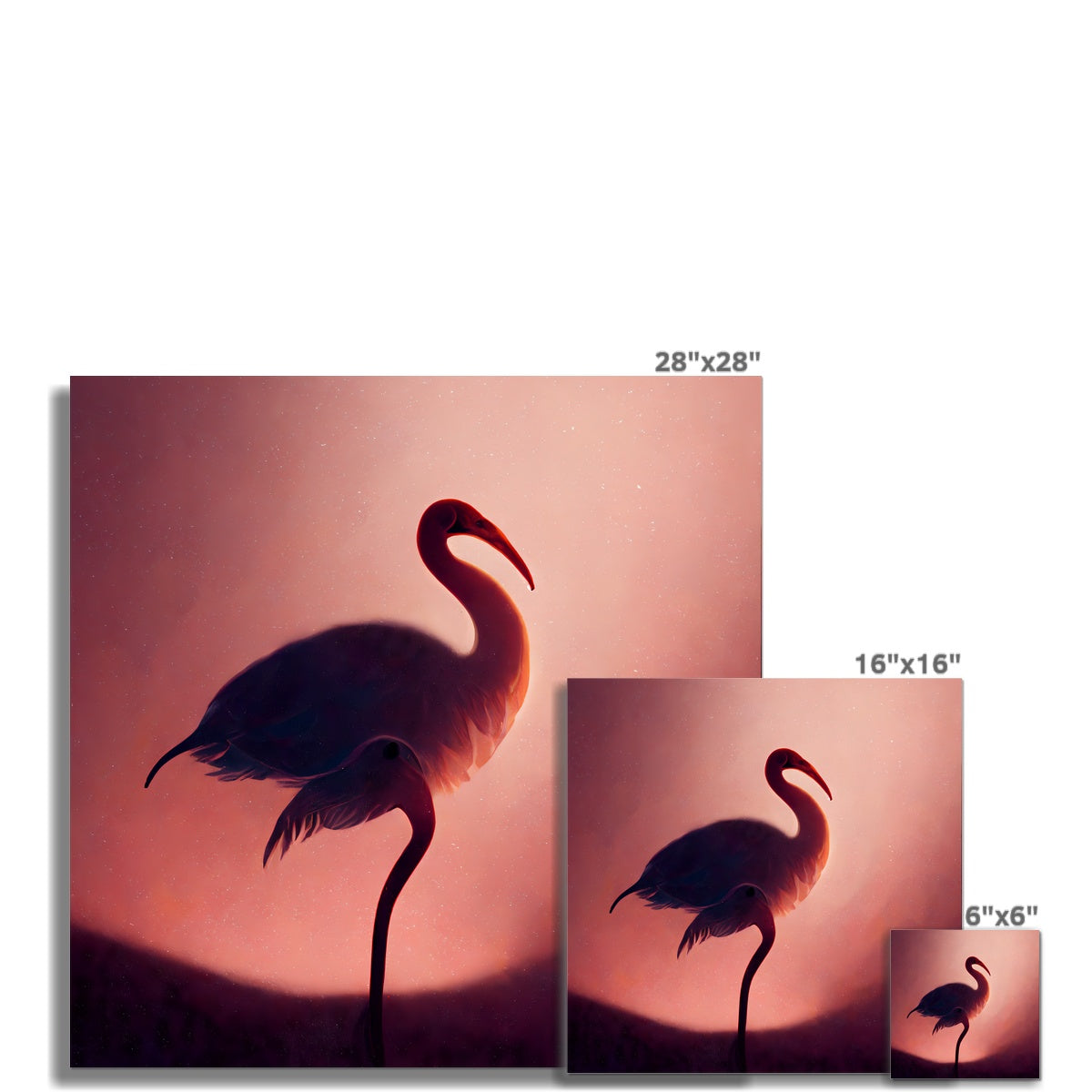 Flamingo Shadows Fine Art Print