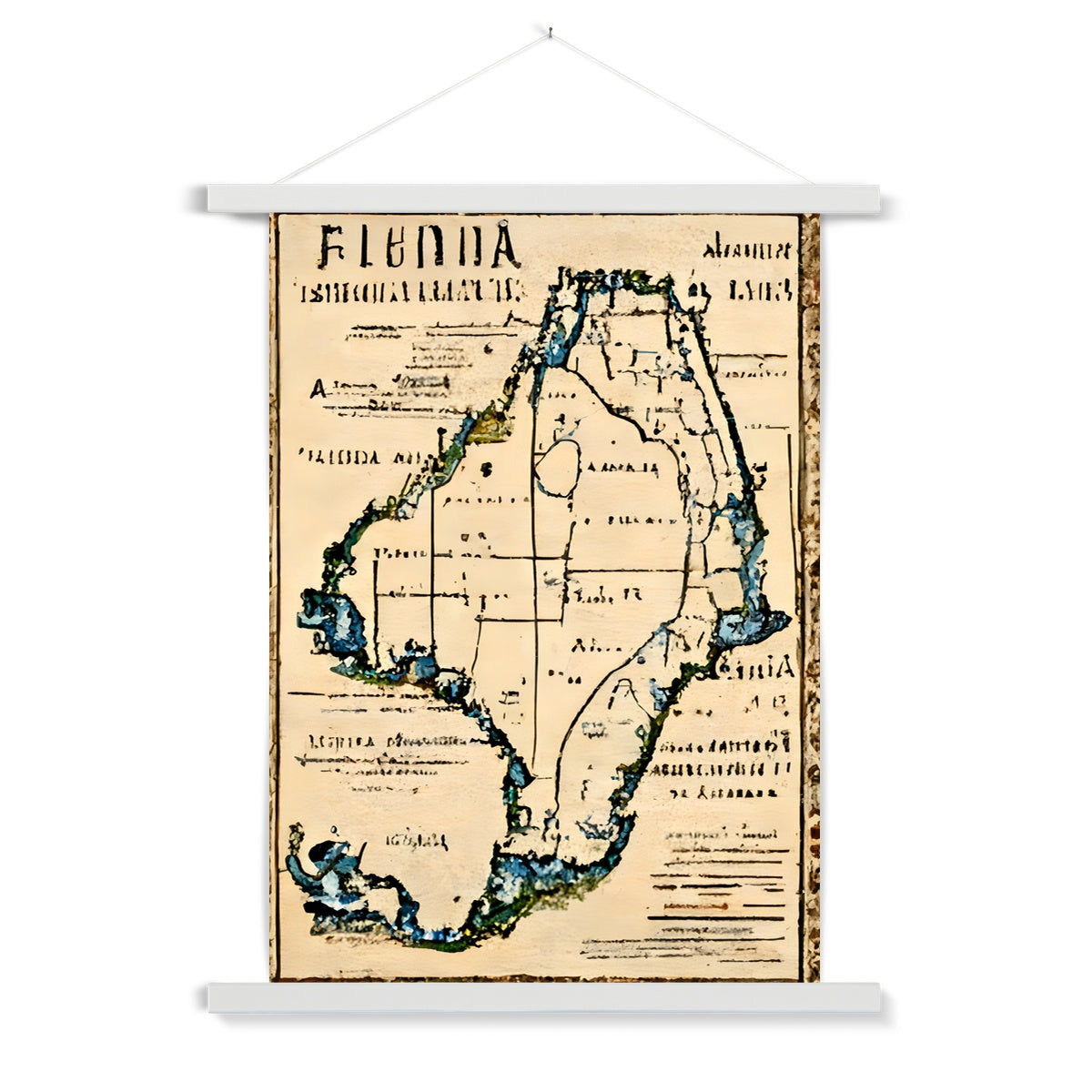 Florida Antiqua Fine Art Print with Hanger