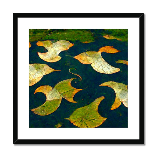 Pond Dreams Framed & Mounted Print