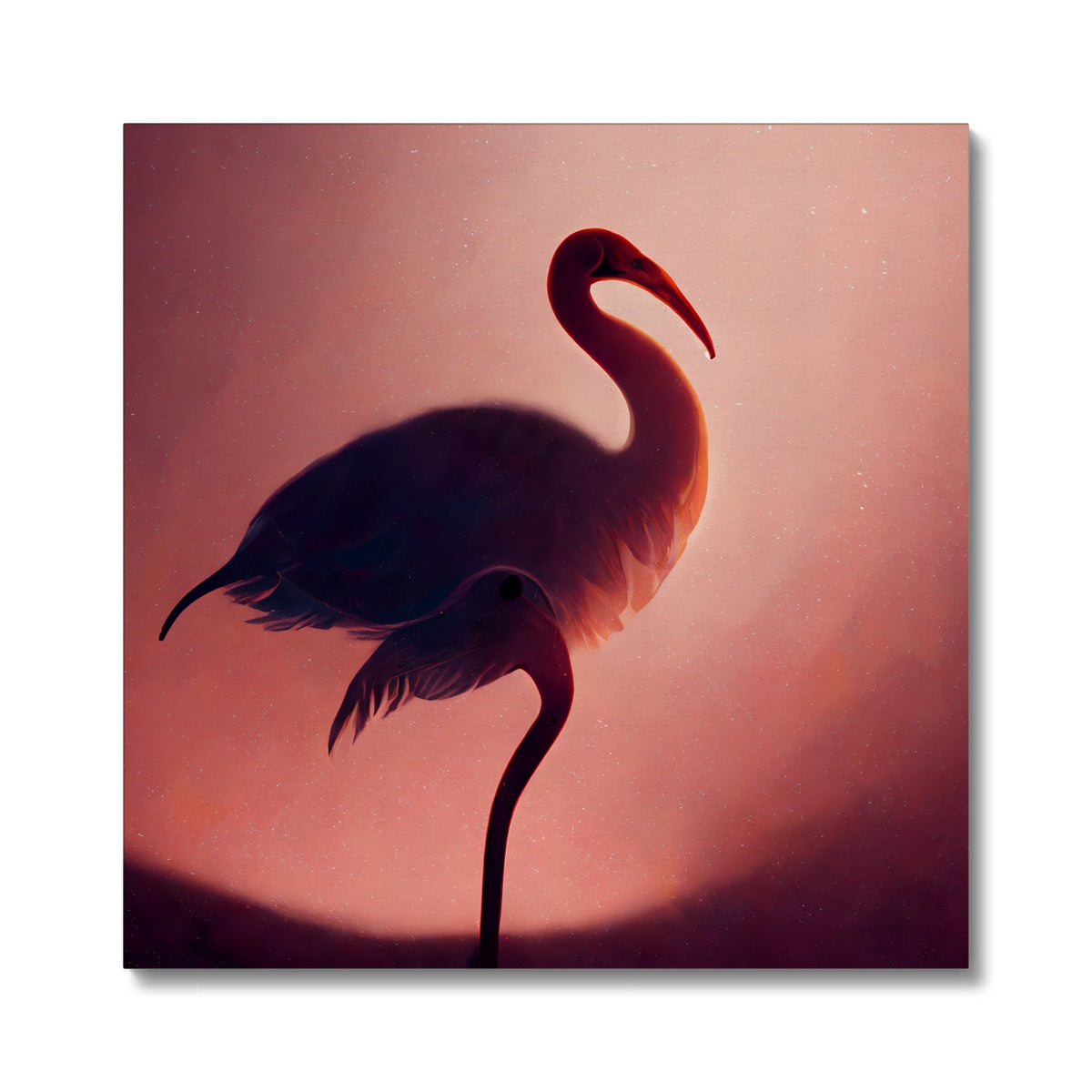 Flamingo Shadows Canvas