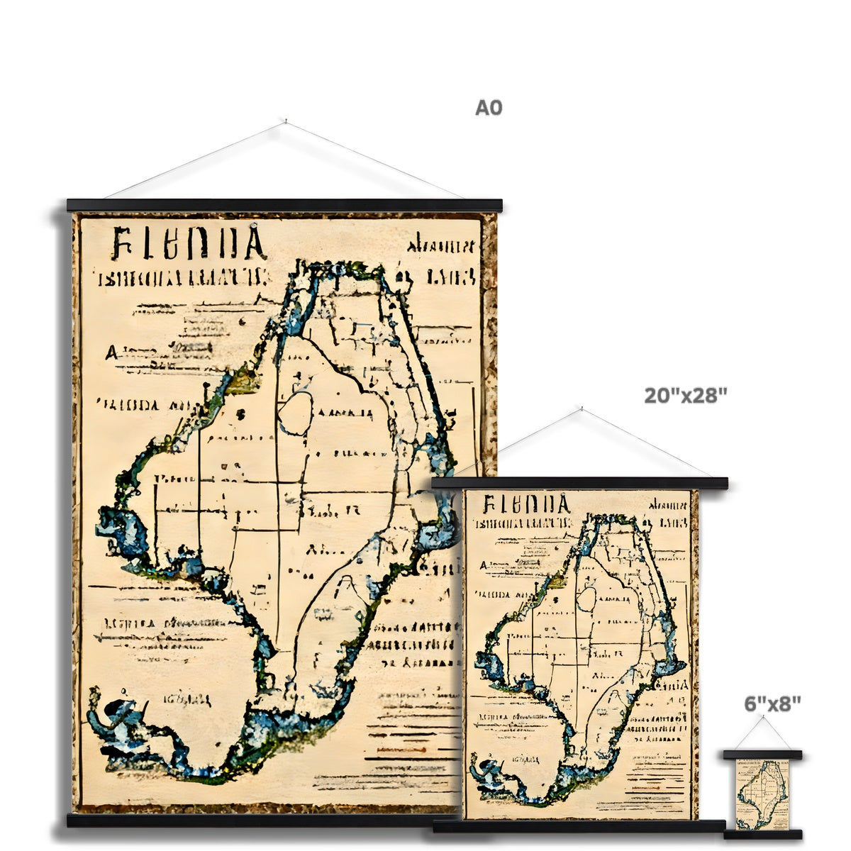 Florida Antiqua Fine Art Print with Hanger