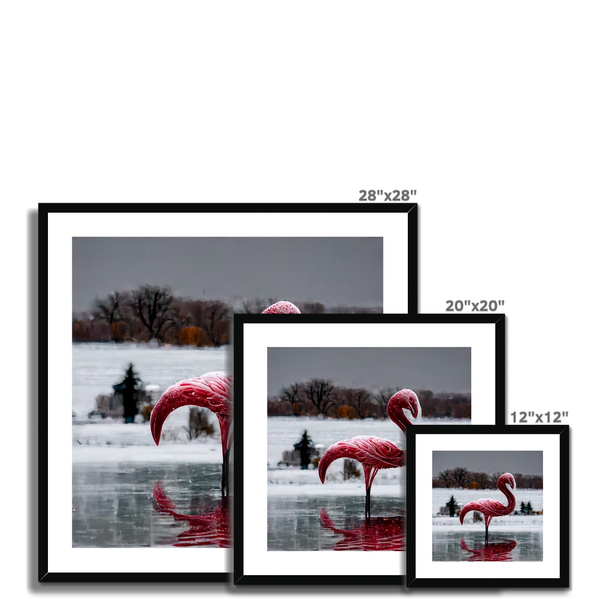 Flamingo Ice  Framed & Mounted Print