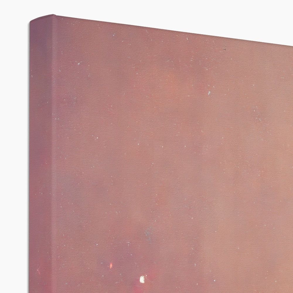 Flamingo Standing Alone Canvas