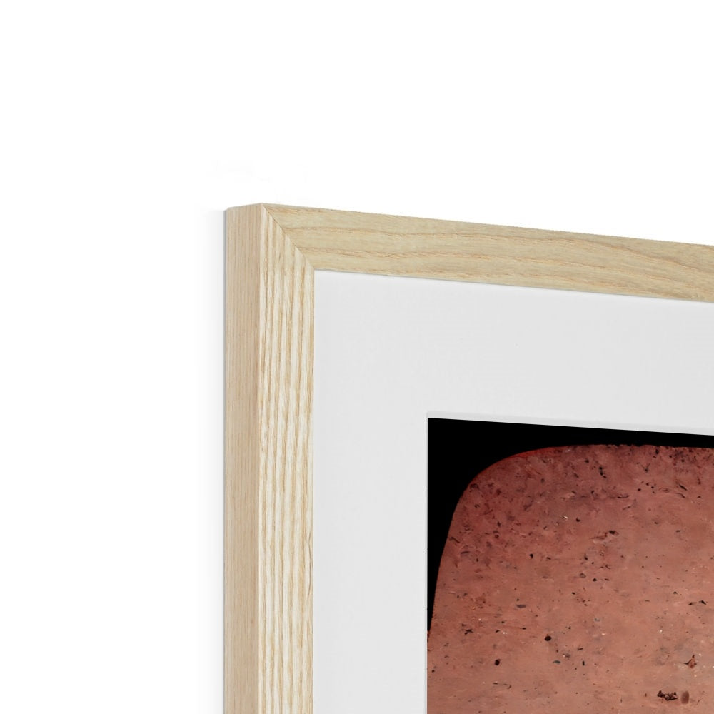 Flamingo Fans Framed & Mounted Print