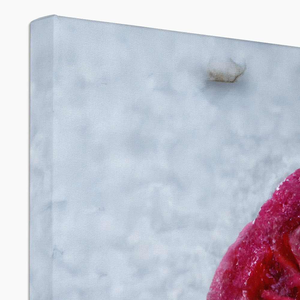 Frozen Love Canvas