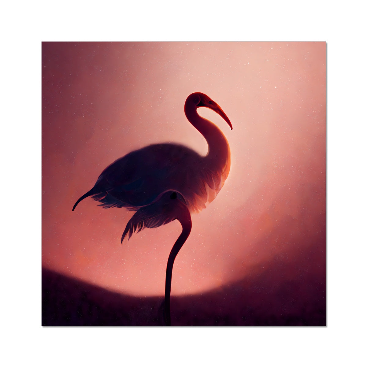 Flamingo Shadows Fine Art Print