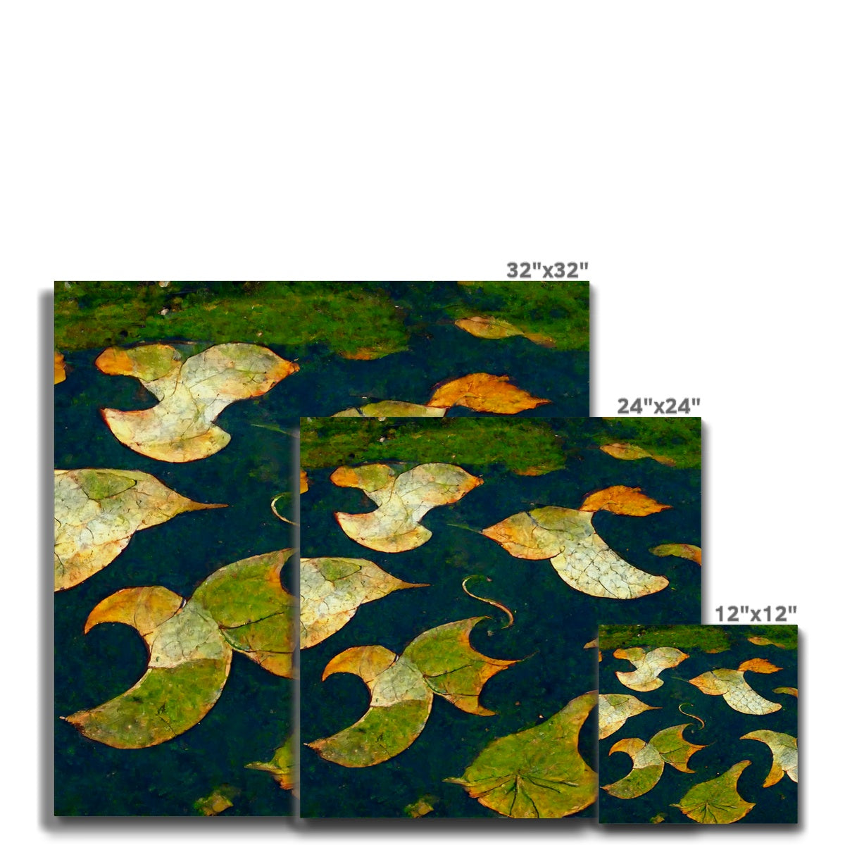 Pond Dreams Canvas
