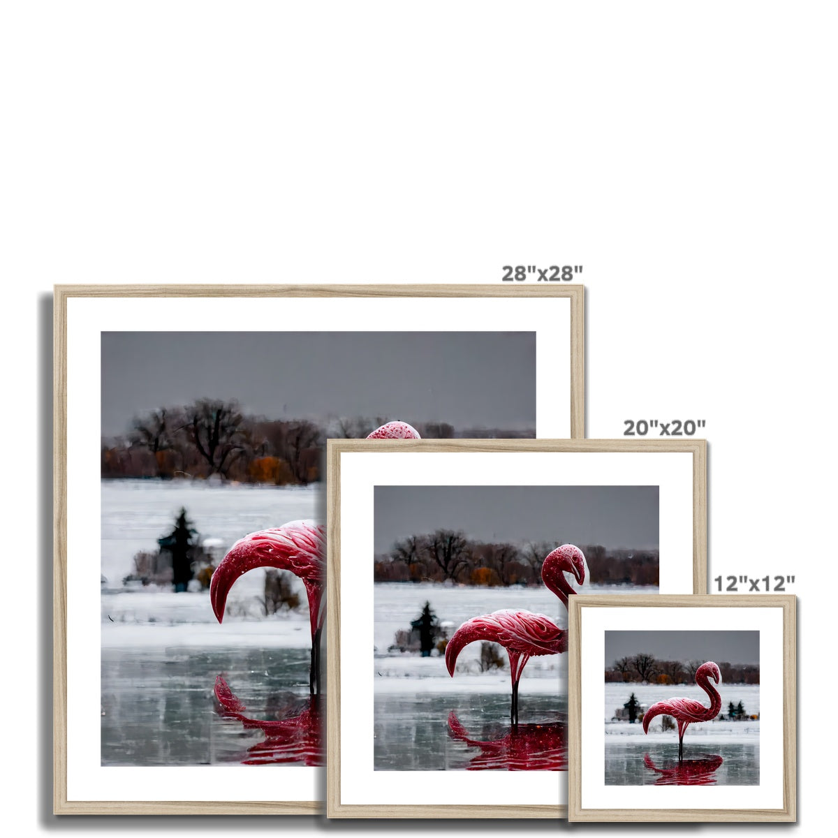 Flamingo Ice  Framed & Mounted Print