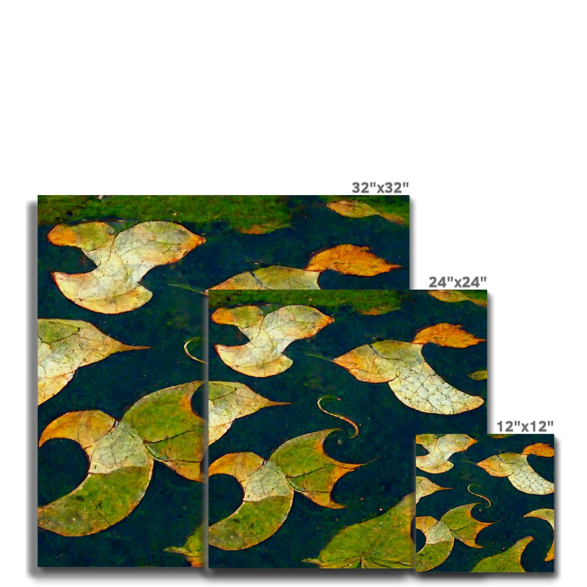Pond Dreams Canvas
