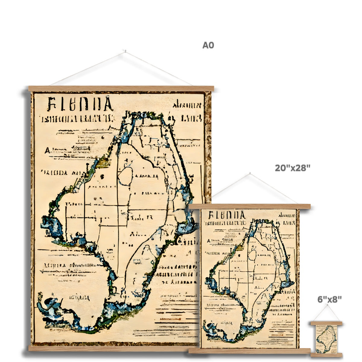 Florida Antiqua Fine Art Print with Hanger