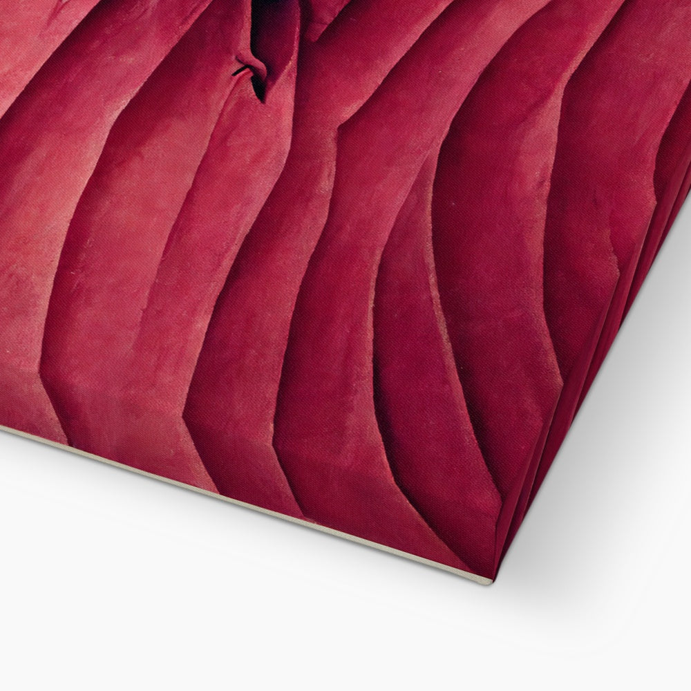 Flamingo Folds Canvas