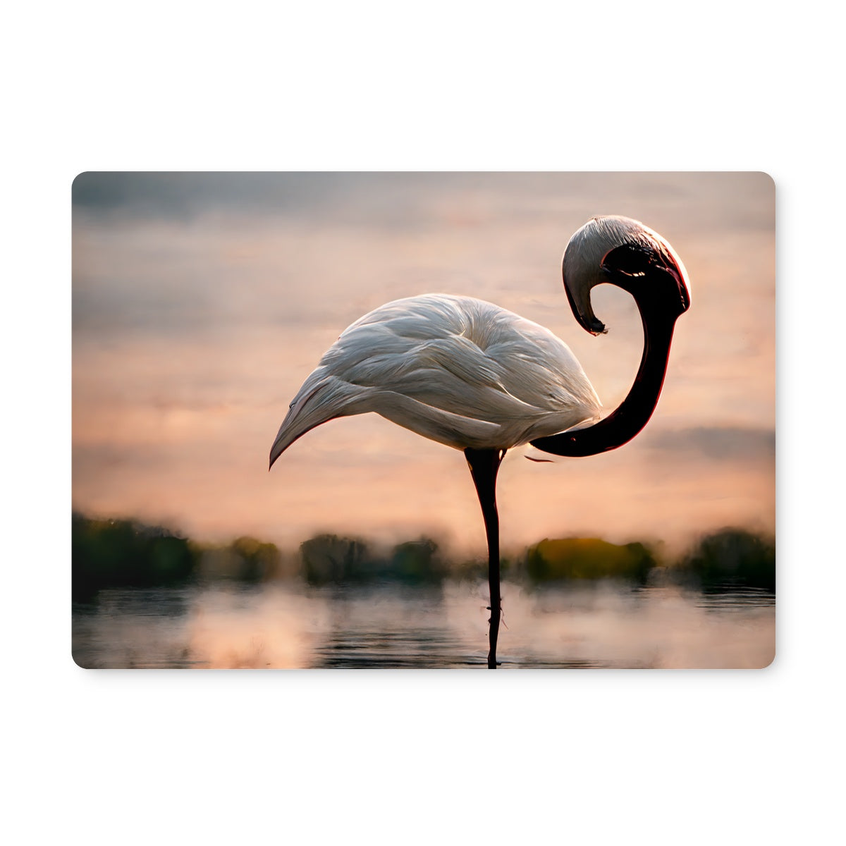 Flamingo White Alone Placemat