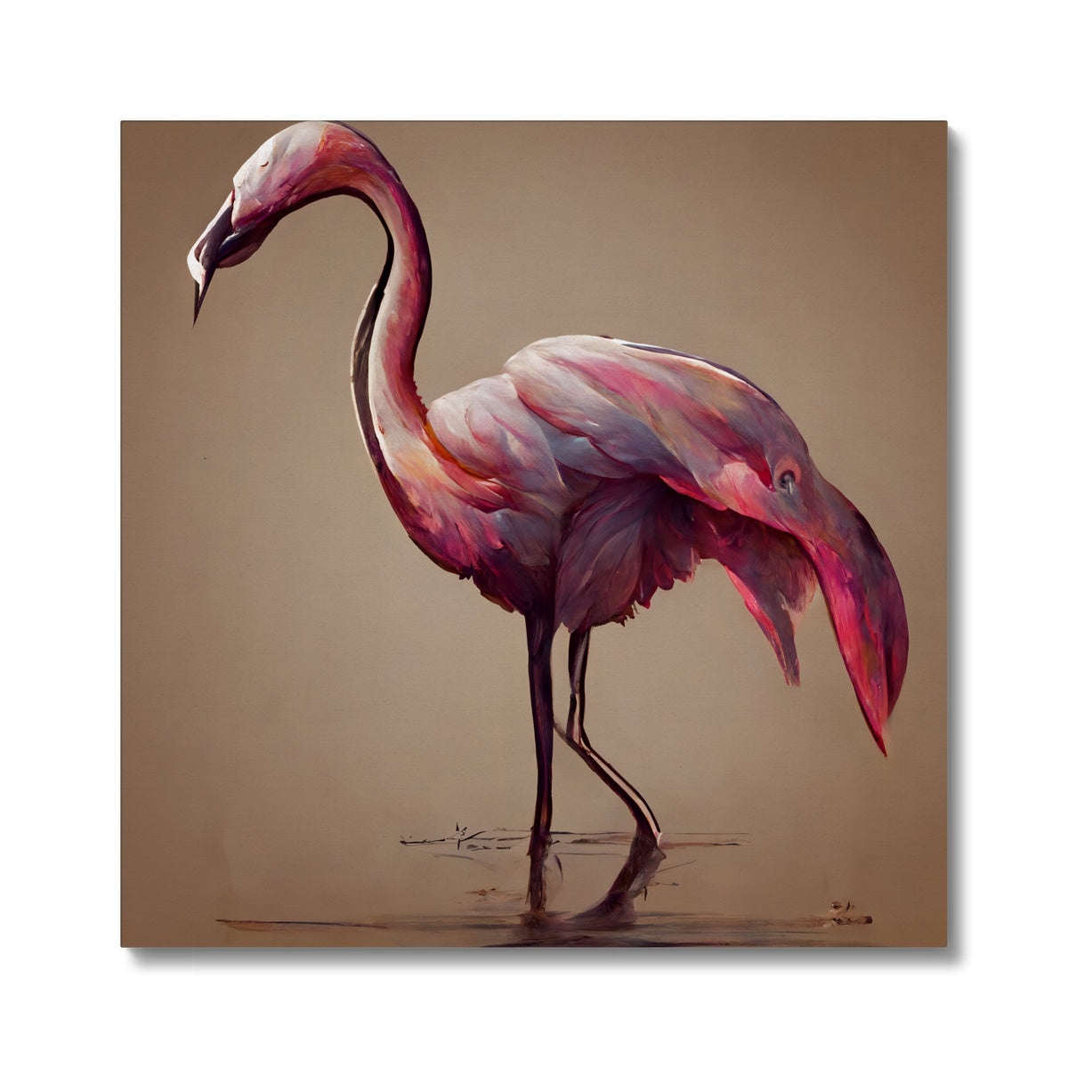 Flamingo Feathers Canvas