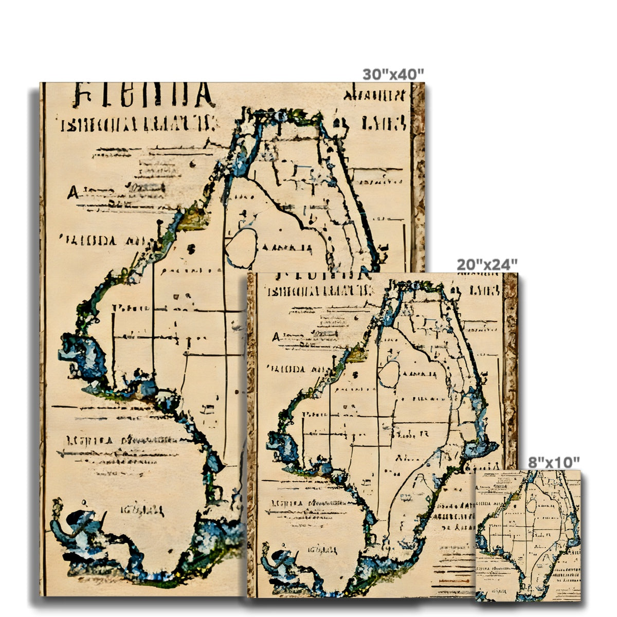 Florida Antiqua Canvas