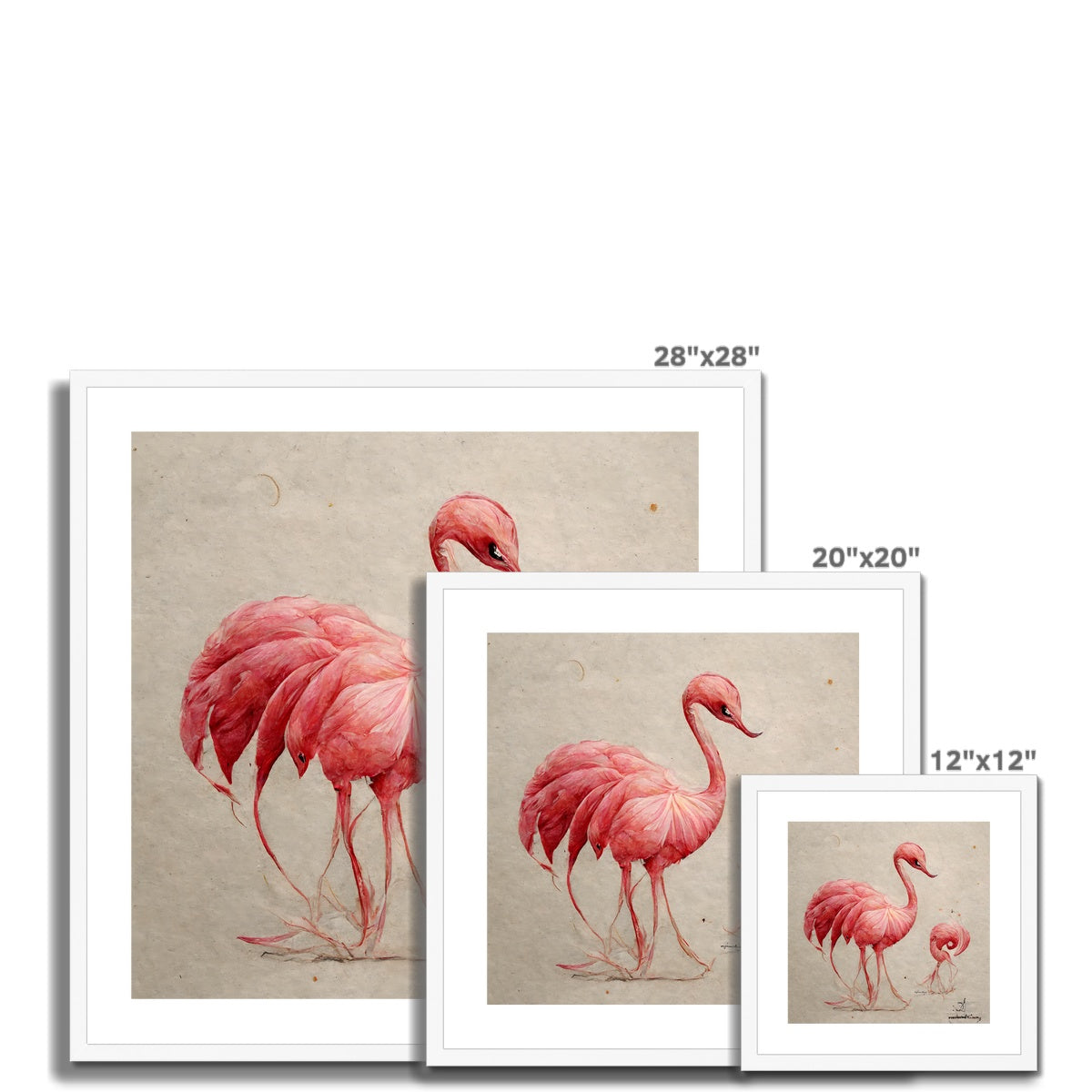 Flamingo Sketch Colors Framed & Mounted Print