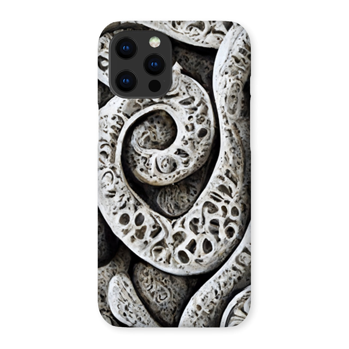 Stone Carvings Snap Phone Case