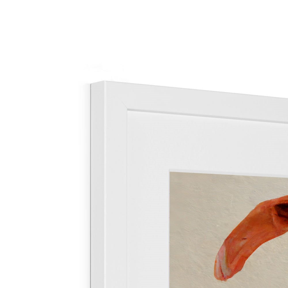 Flamingo Eastern Art Framed & Mounted Print