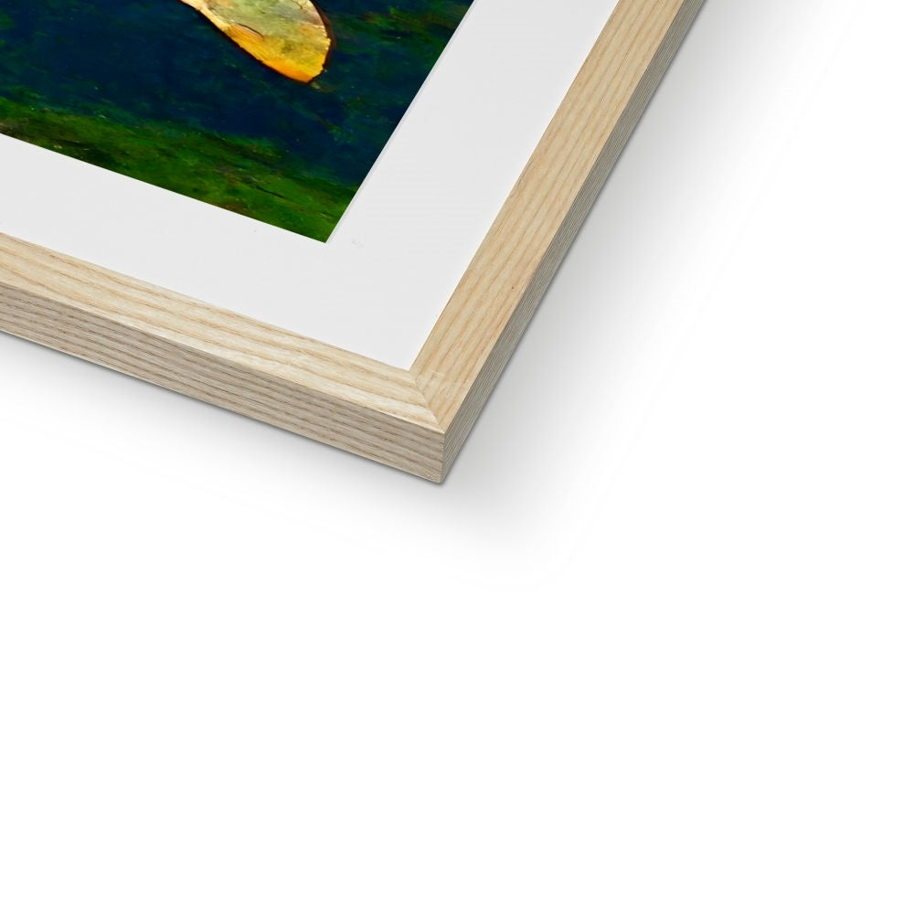 Pond Dreams Framed & Mounted Print