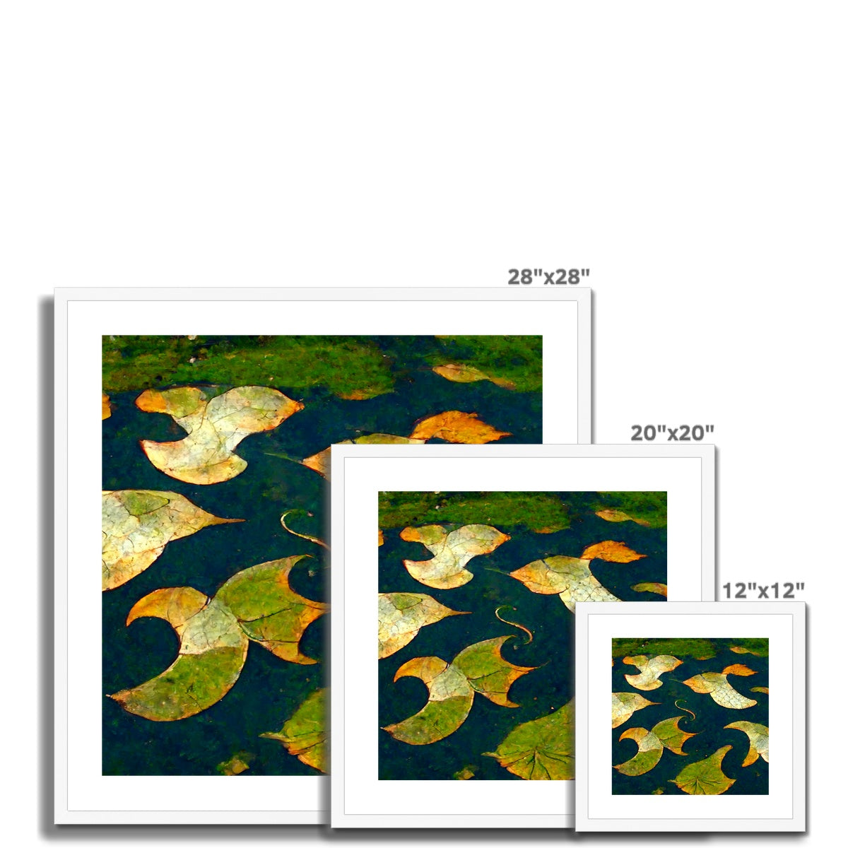 Pond Dreams Framed & Mounted Print