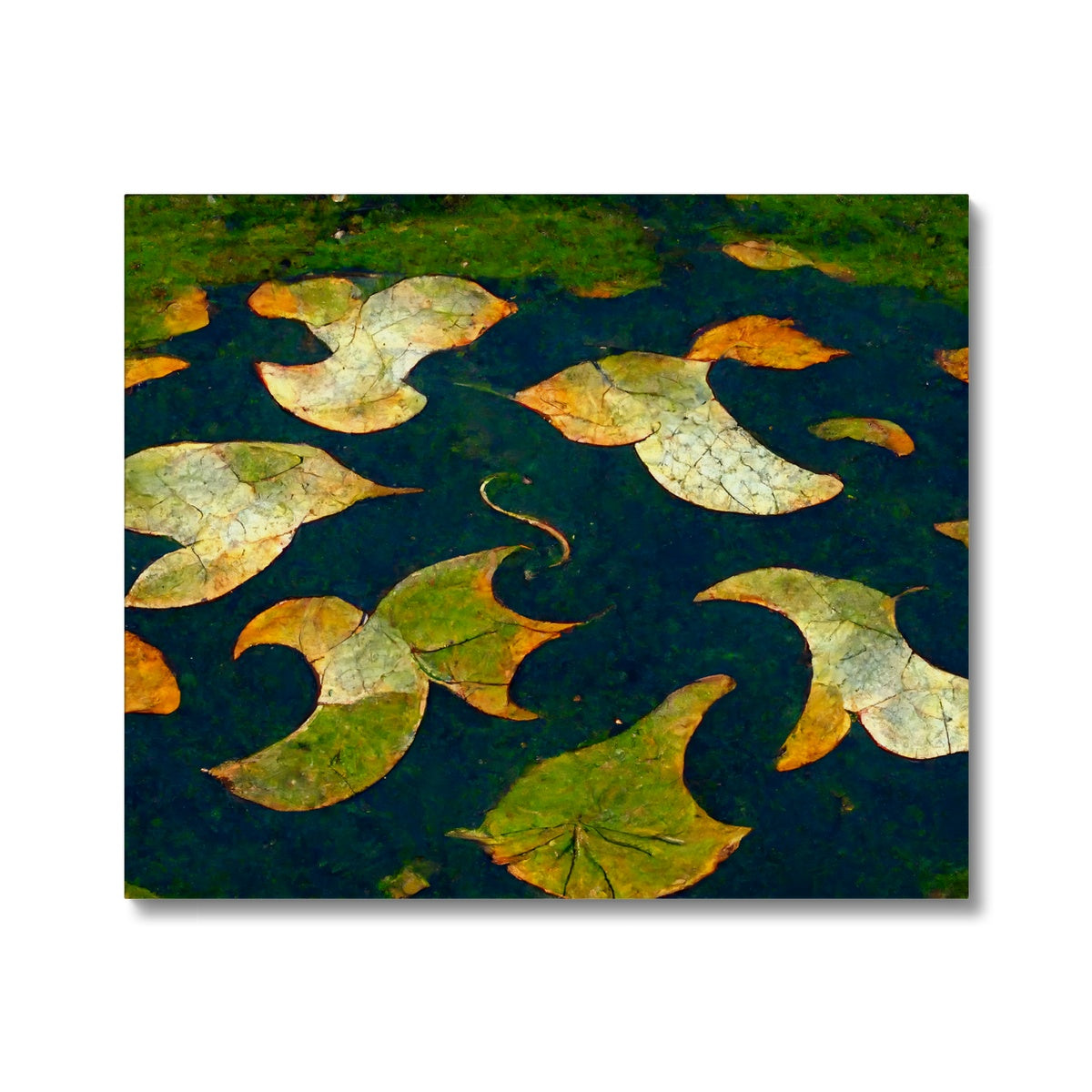 Pond Dreams Canvas