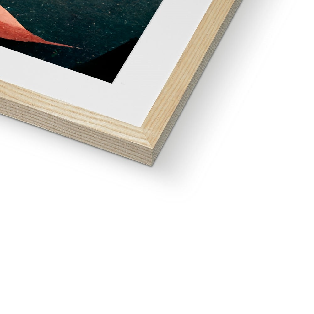 Flamingo Fans Framed & Mounted Print