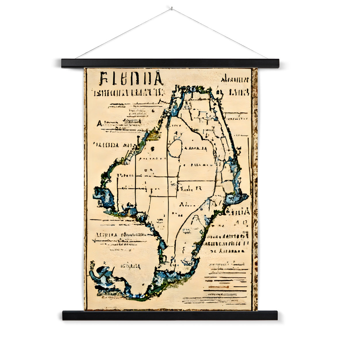 Florida Antiqua Fine Art Print with Hanger