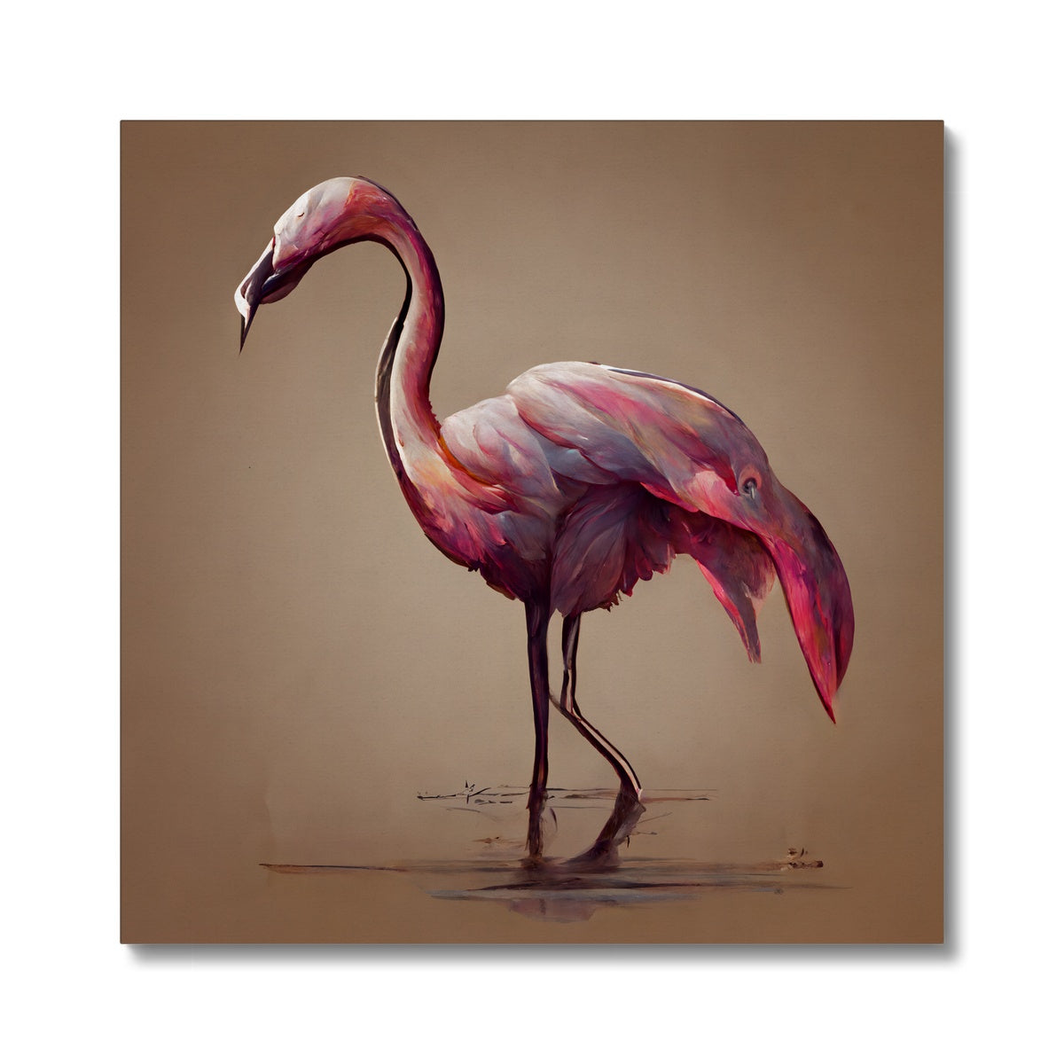 Flamingo Feathers Canvas