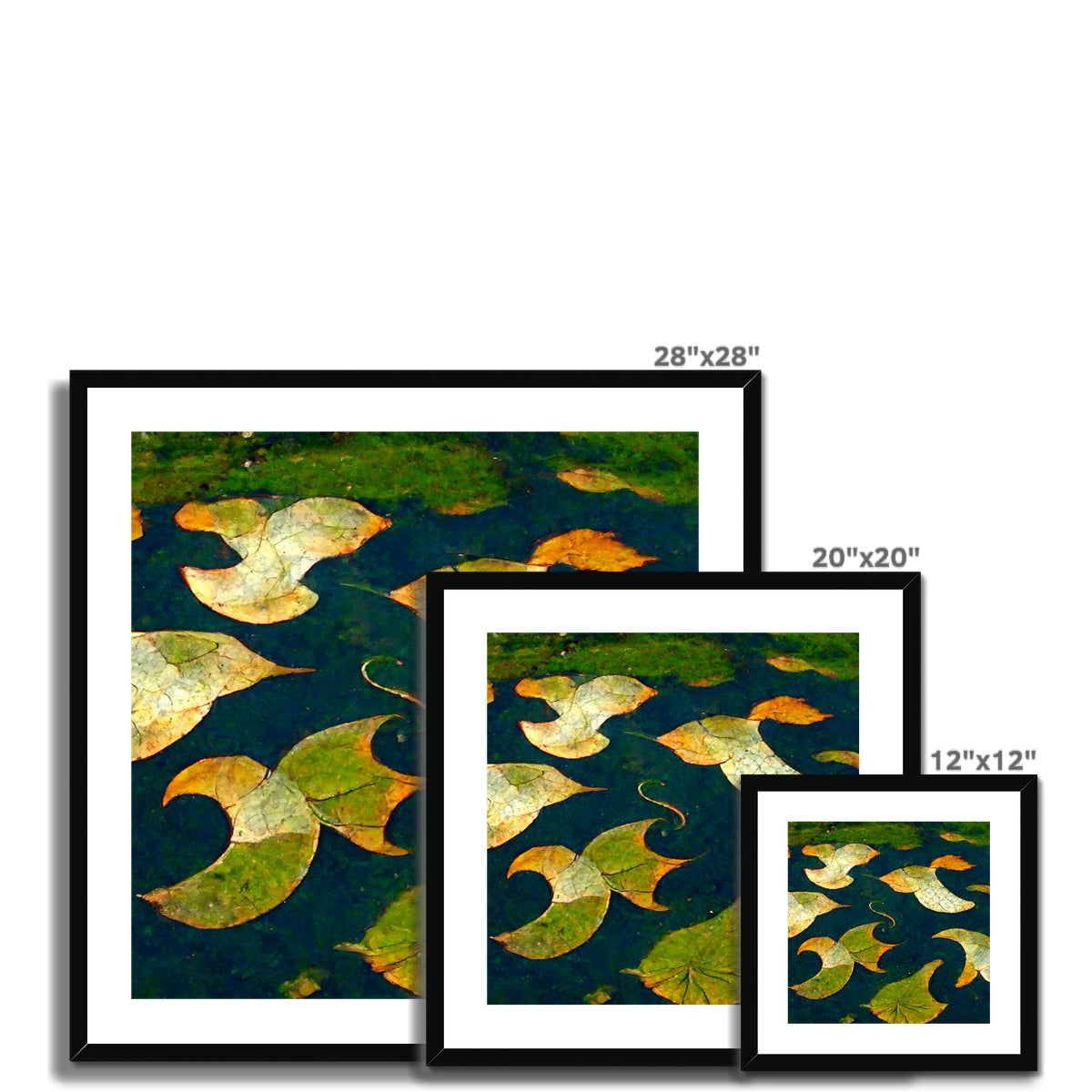 Pond Dreams Framed & Mounted Print