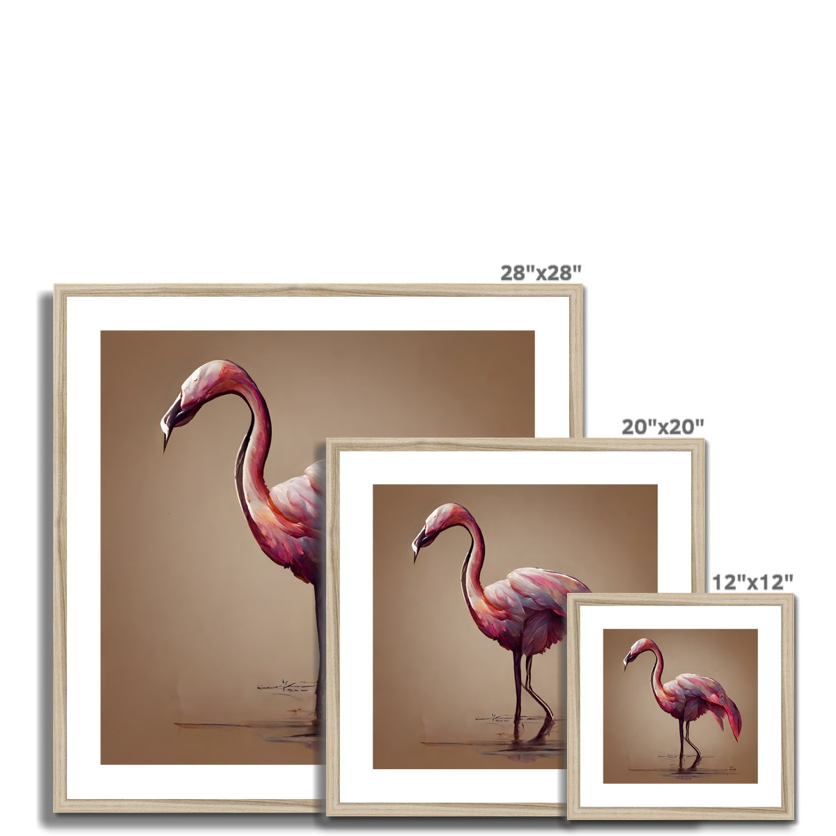 Flamingo Feathers Framed & Mounted Print