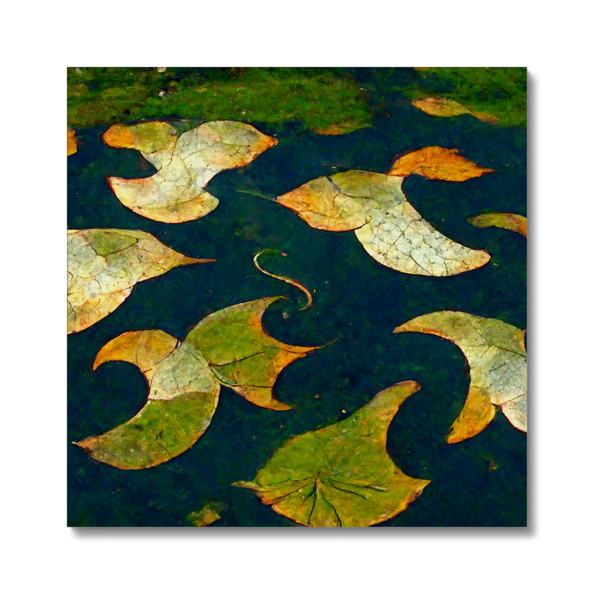 Pond Dreams Canvas