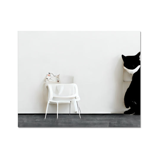 Cool Cat Fine Art Print