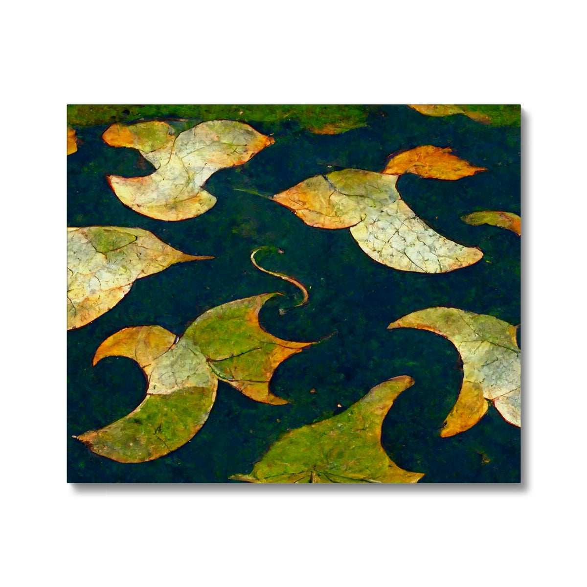Pond Dreams Canvas