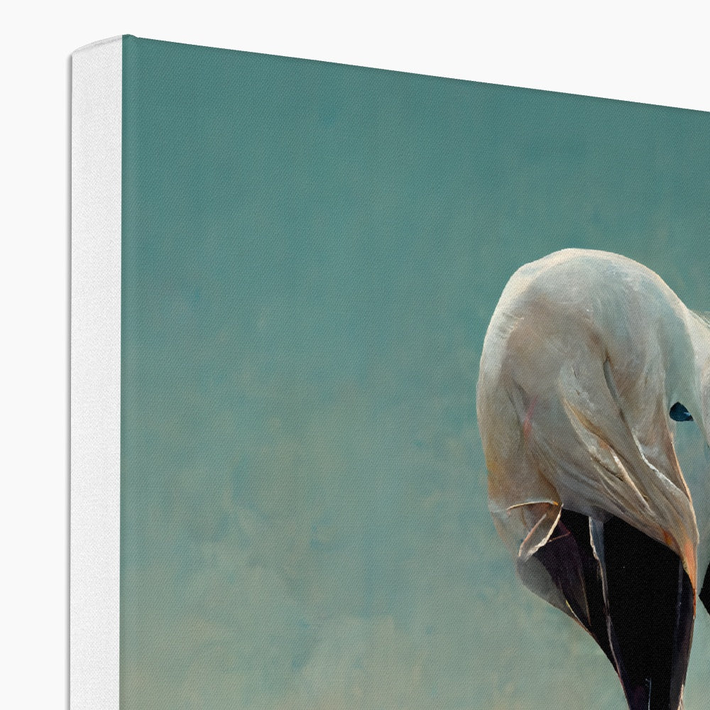 Flamingo Cuddles Canvas