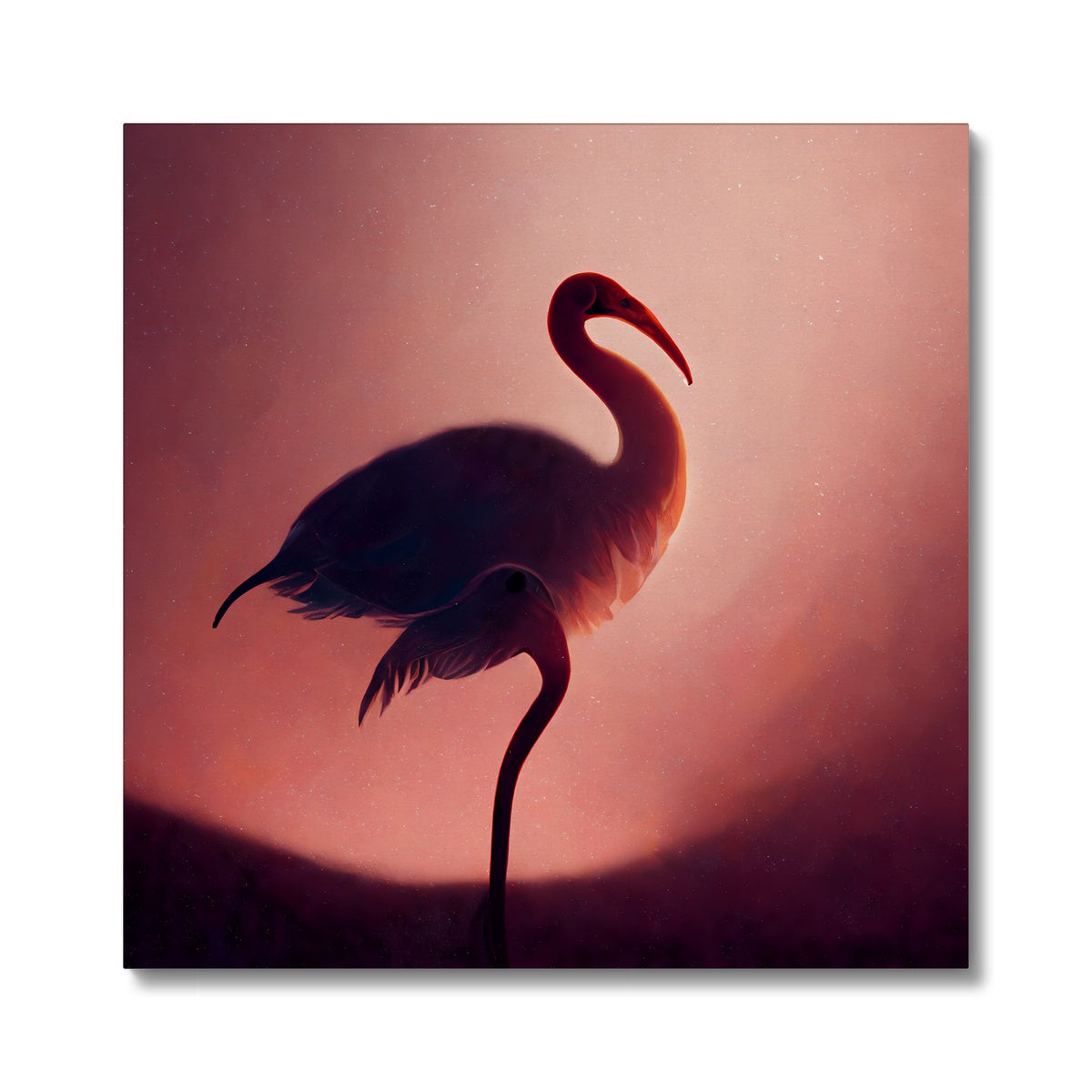 Flamingo Shadows Canvas