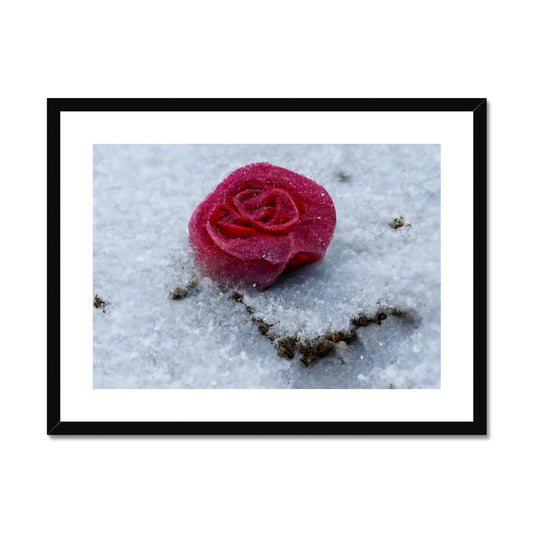 Frozen Love Framed & Mounted Print