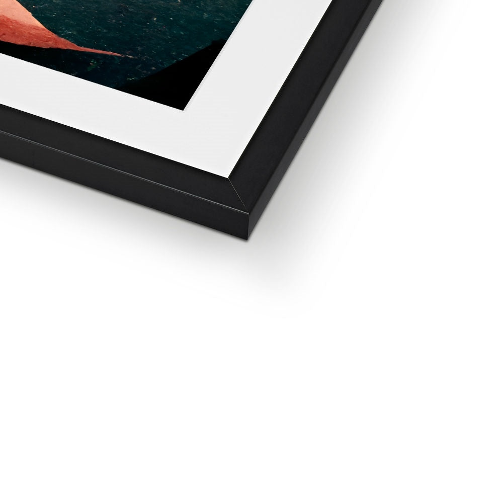 Flamingo Fans Framed & Mounted Print