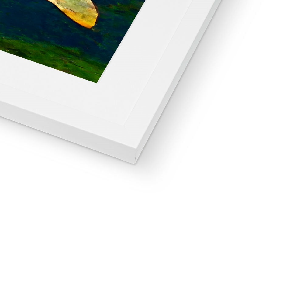 Pond Dreams Framed & Mounted Print